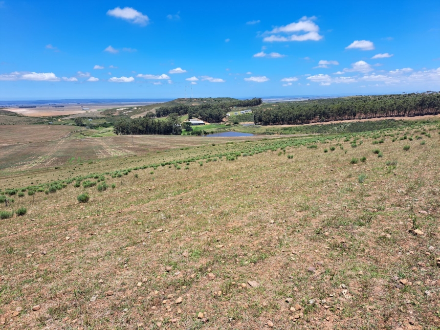 17 Bedroom Property for Sale in Riversdale Rural Western Cape